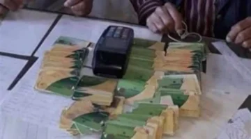 الأوراق المطلوبة لإضافة المواليد 2025 والفئات المستحقة للدعم الحكومي